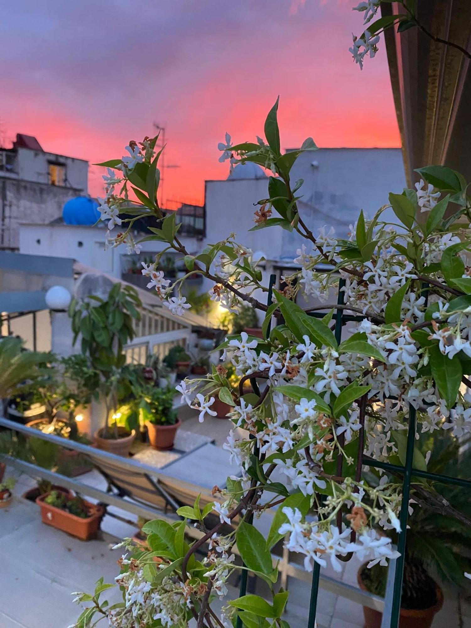Casa Franzese Bed & Breakfast เนเปิลส์ ภายนอก รูปภาพ